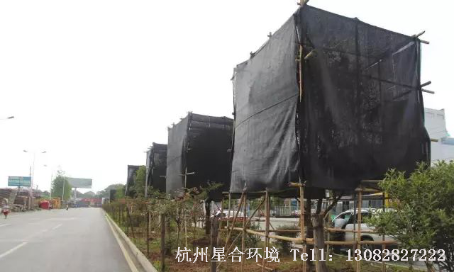 绿化养护遮阴效果图