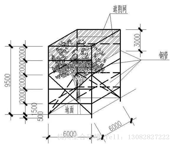 绿化养护遮阴分解图