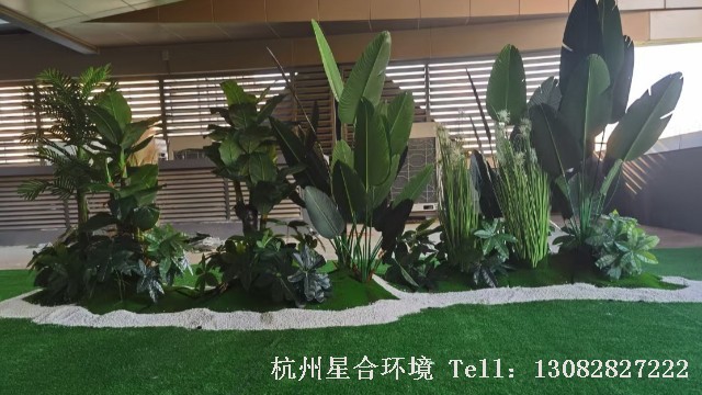 植物租摆-室内摆放仿真植物好不好