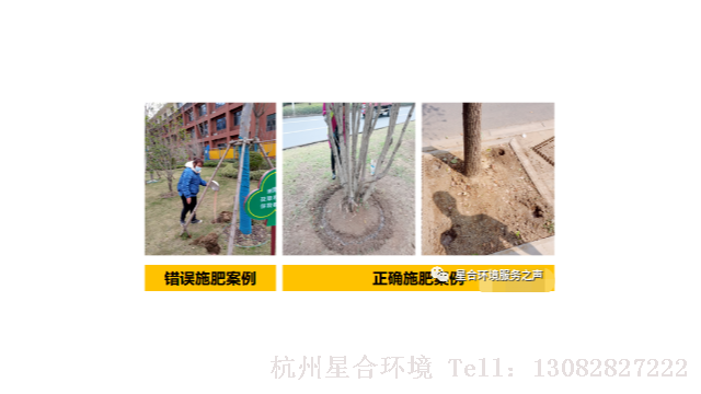 绿化养护