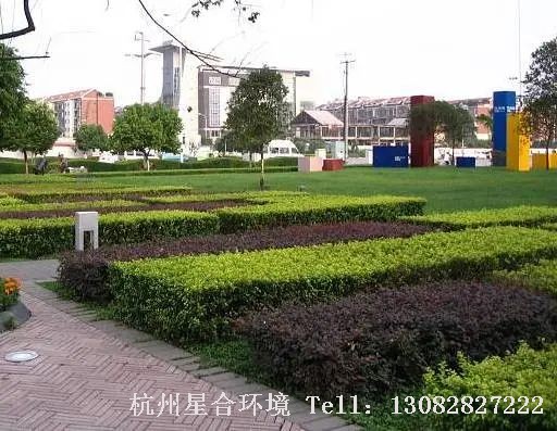 绿化施工