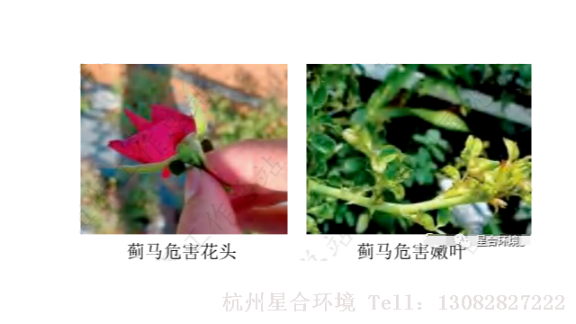 小区养护