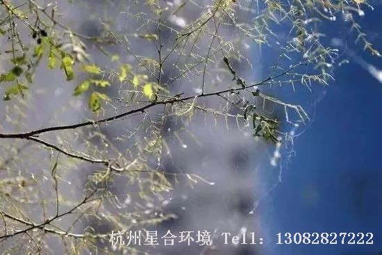 杭州小区养护