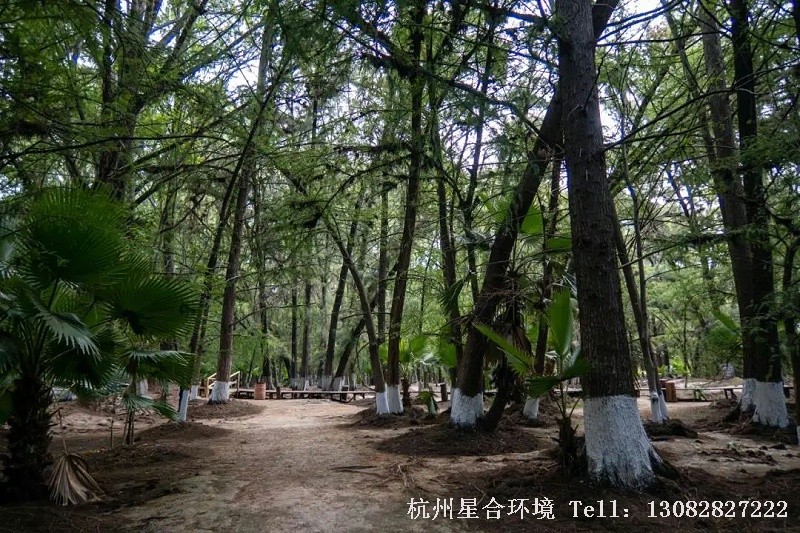 绿化养护