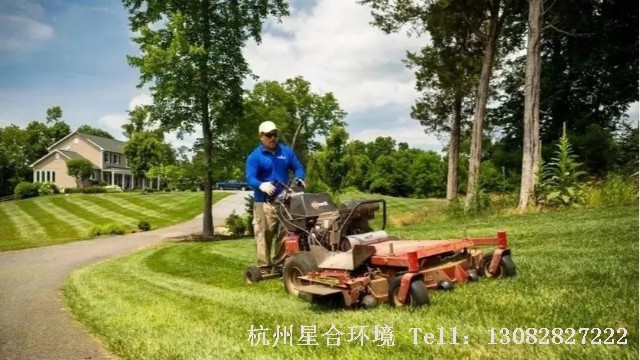 草坪养护