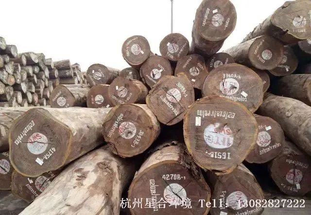 珍贵栽培绿化养护树种在我国种类较多，分布较广，密度较高，非常硬实。主要分为一类用材树，二类用材树，三类用材树，四类用材树，和五类用材树，一共五个等级，一类用材树的硬度最高，经济价值最高，五类最低。