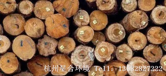 这类绿化养护树种生长速度一般，质地较细腻，木材硬度较高，气干密度一般大于0.70，主要有：枫香、桤木、朴树、檀、银桦、红桉、白桉。