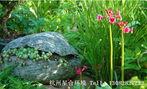 这种源自大自然的园林设计艺术品魅力无穷