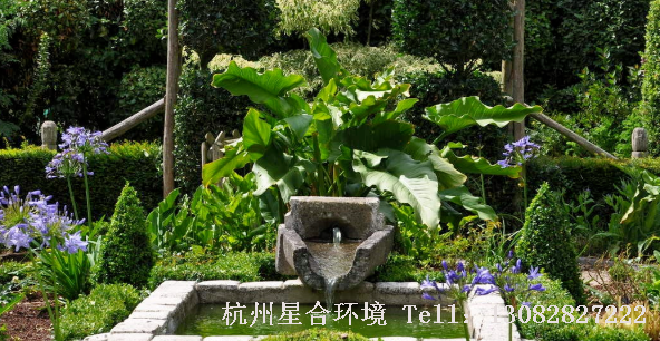园林设计，庭院赏石，幽远之境，心神可栖~