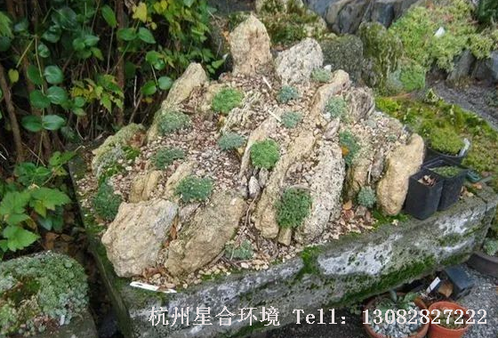 家有庭院，园林设计必以石装饰~极尽风雅