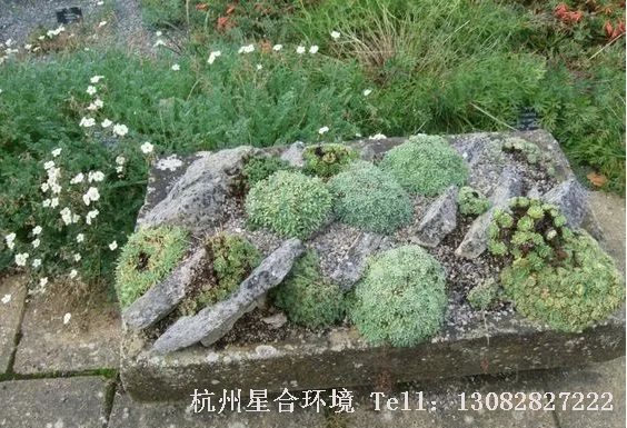 而中国园林设计爱石文化自古有之