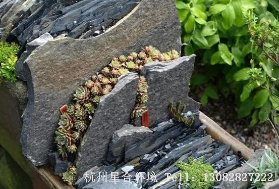 园林设计喜欢山河自然的，都不是普通人！