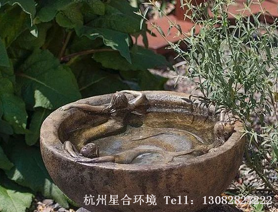 园林设计，庭院赏石，幽远之境，心神可栖~