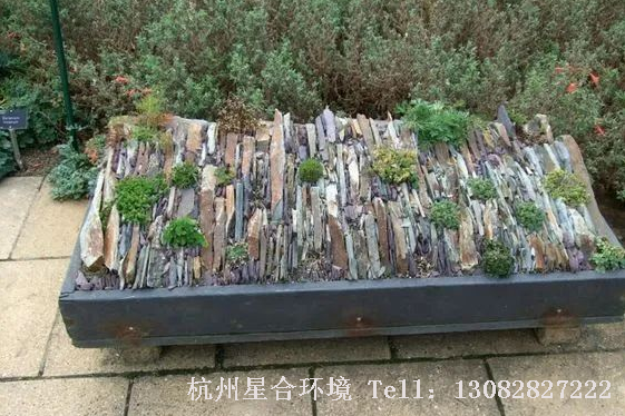 园林设计，庭院赏石，幽远之境，心神可栖~