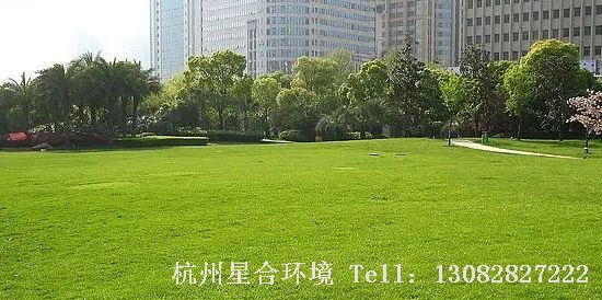 雨水节气一过，万物萌动的春天就近在眼前了，草坪里的杂草也开始陆续萌芽生长，此时正是草坪绿化养护杂草防除的有利时机，不仅能达到理想效果，很大程度上还能降低绿化养护防除成本！