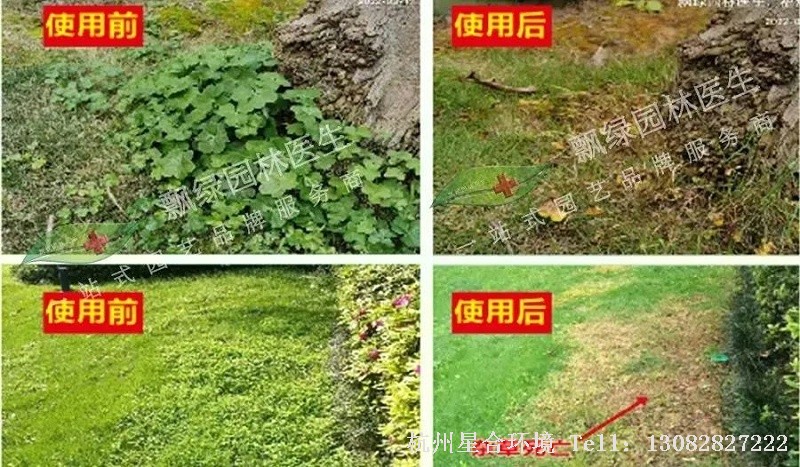 春季绿化养护低温除草套餐推荐