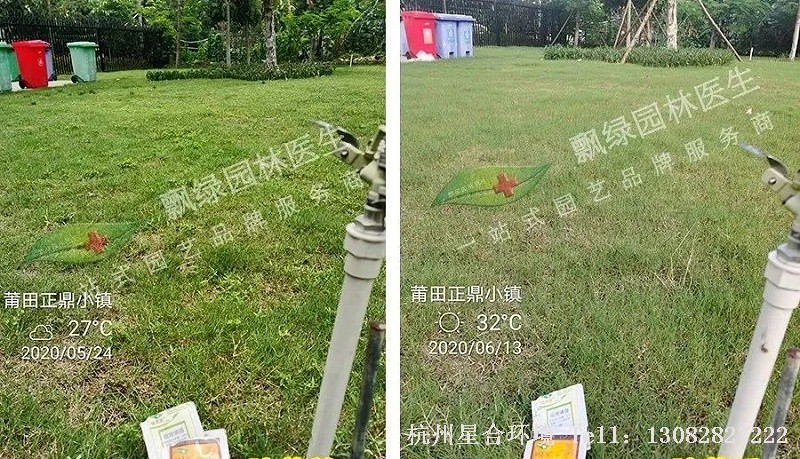 春季绿化养护低温除草套餐推荐