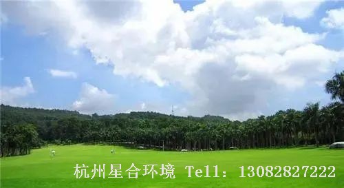 绿化养护