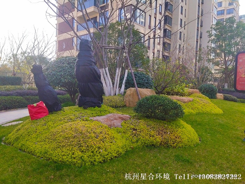 庭院绿化工程小景