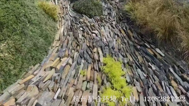庭院绿化工程