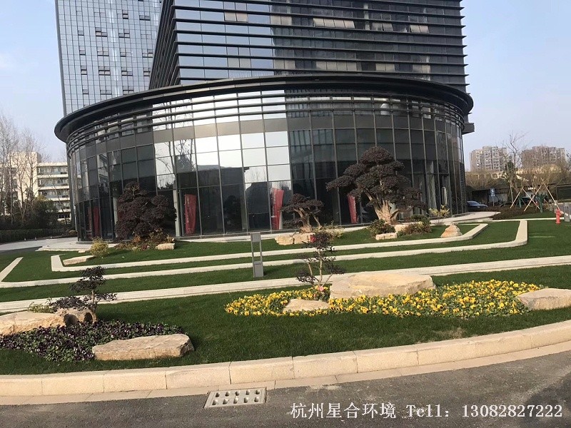 庭院绿化工程造景