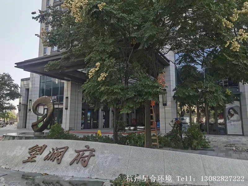 小区绿化养护乔木修剪
