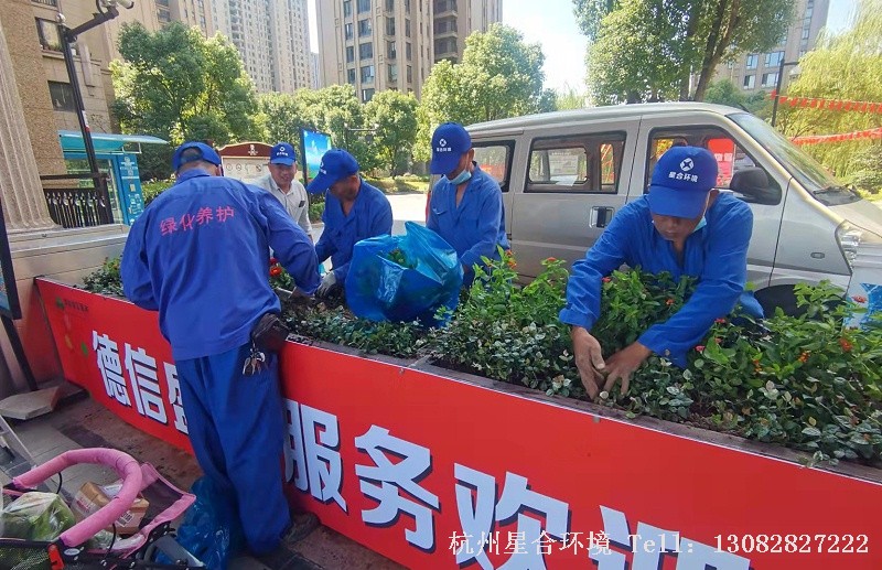小区绿化养护花箱种植