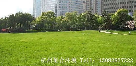 雨水节气一过，万物萌动的春天就近在眼前了，草坪里的杂草也开始陆续萌芽生长，此时正是绿化养护草坪杂草防除的有利时机，不仅能达到理想效果，很大程度上还能降低防除成本！