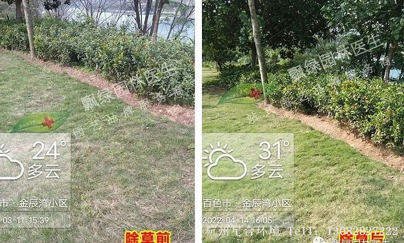 绿化养护春季低温除草套餐推荐