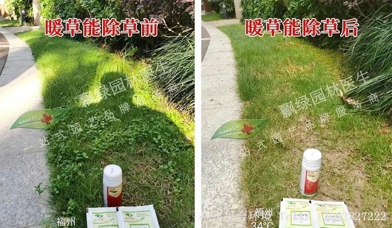 绿化养护春季低温除草套餐推荐