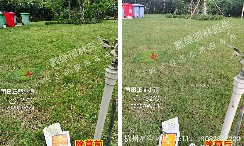 绿化养护春季低温除草套餐推荐
