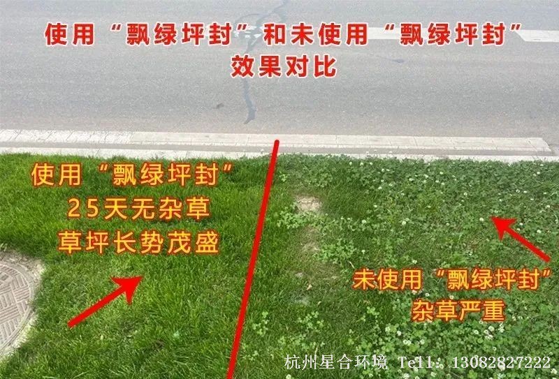绿化养护春季低温除草套餐推荐