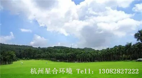 绿化养护春季低温除草套餐推荐