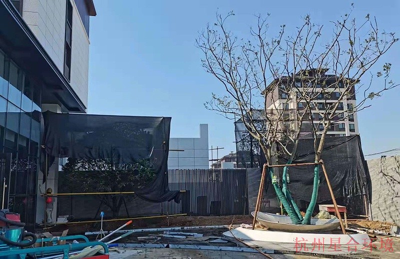 绿化施工