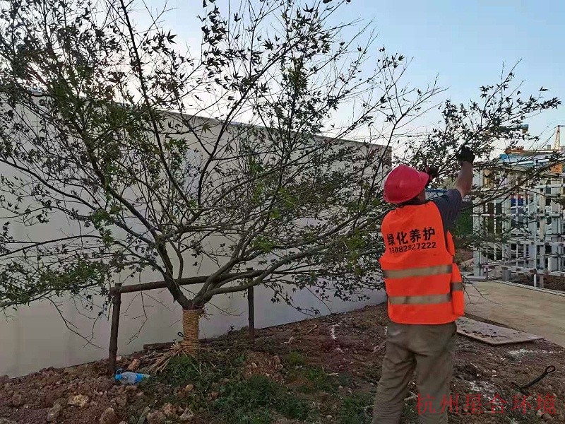 绿化施工