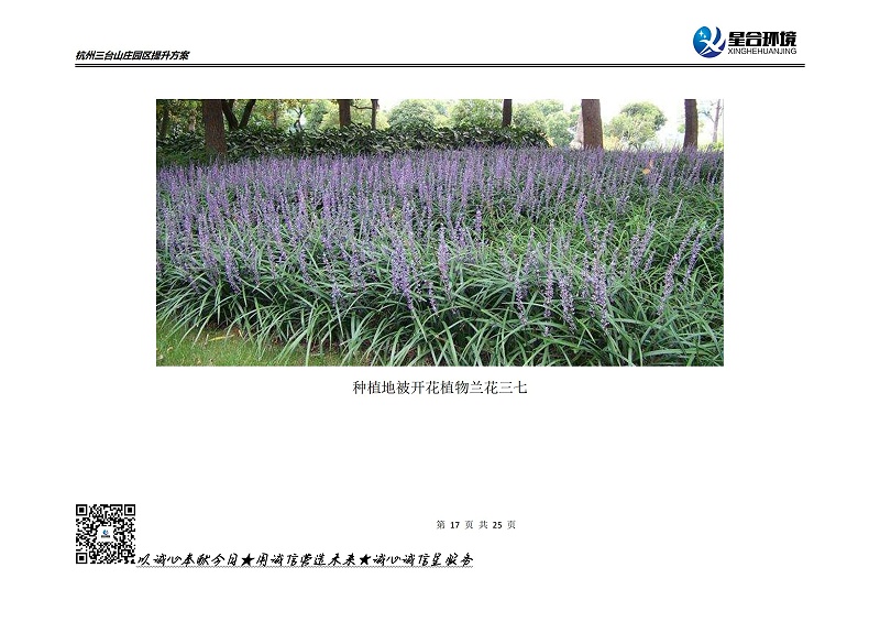 山庄绿化养护方案