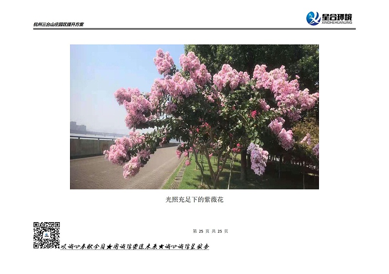 山庄绿化养护方案