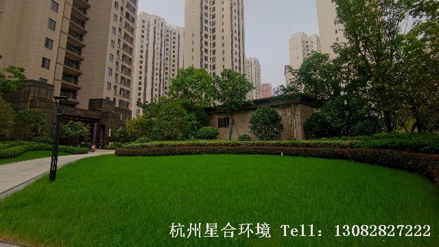 小区绿化养护