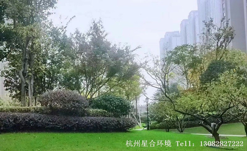 小区绿化养护细节