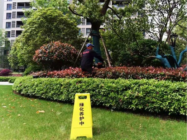 一线工业作业修剪