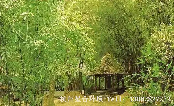 我国古典园林庭院施工中的园路强调“曲径通幽”，竹林小径力求含蓄深邃、修竹夹道、绿竹成荫。