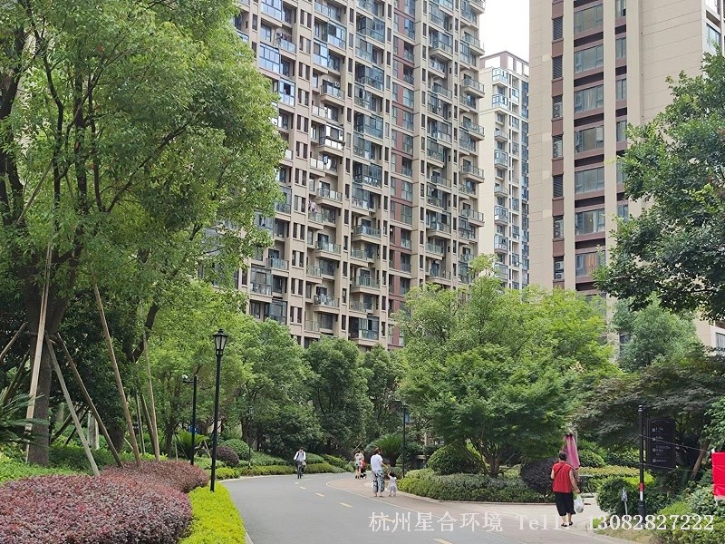小区绿化养护特写