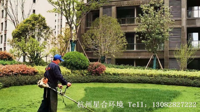 绿化养护