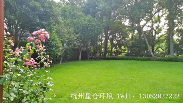 庭院绿化养护