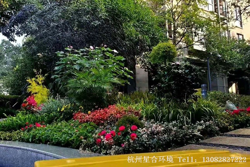 小品花境工程其他视角