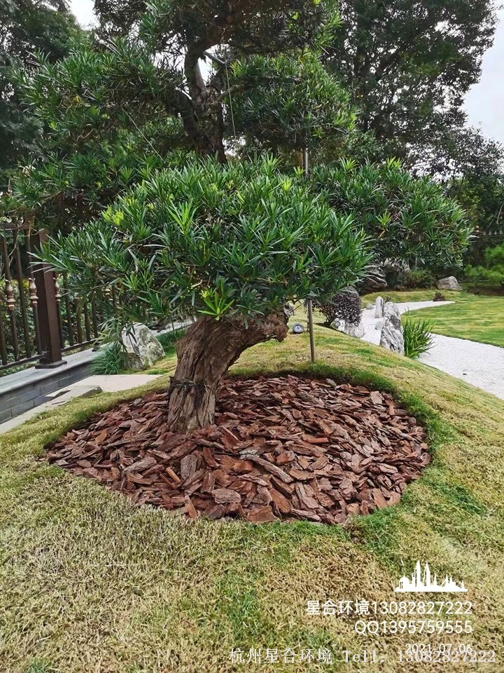 小品花境工程彩色树皮填充