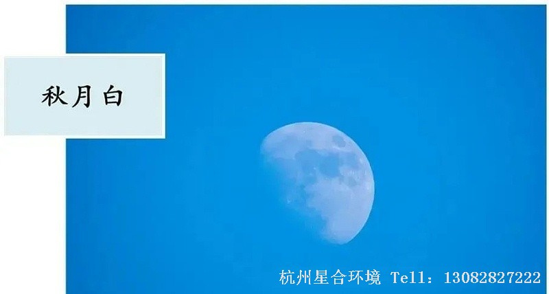 还不太冷的九月秋夜，漫步于闲庭之中，绿化养护圆月当空，月色如水，洒下一地清晖。