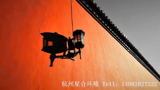 绿化养护