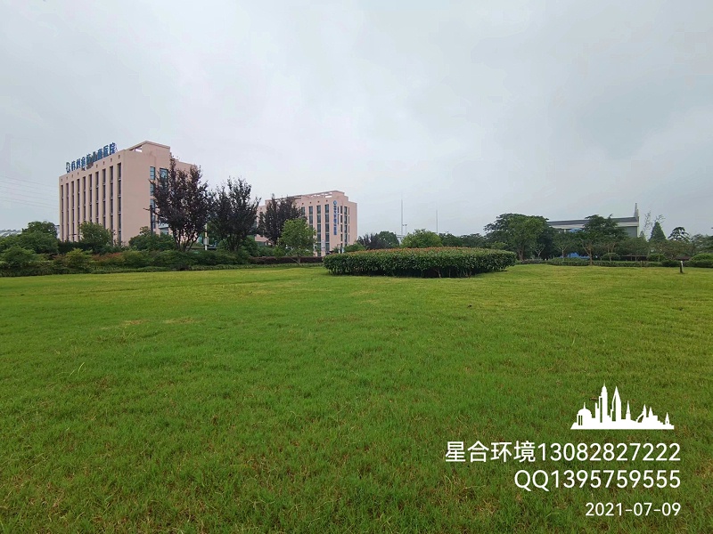 绿化养护中秋季草坪养护的几大要点