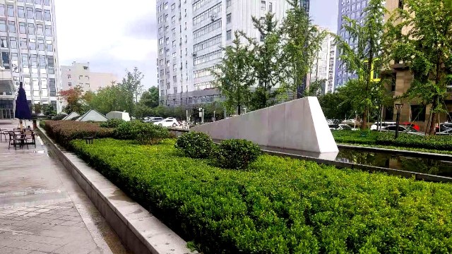 厂区绿化养护-绿篱修剪